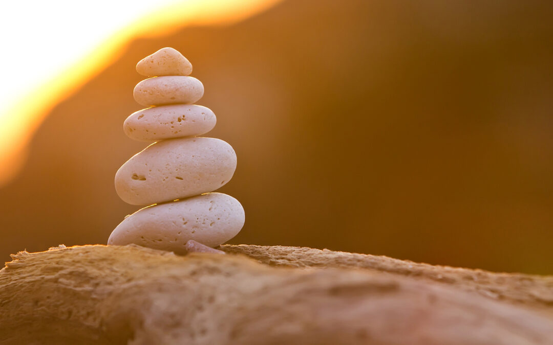 An organized business team working together, showcasing the importance of establishment in building consistency and stability.